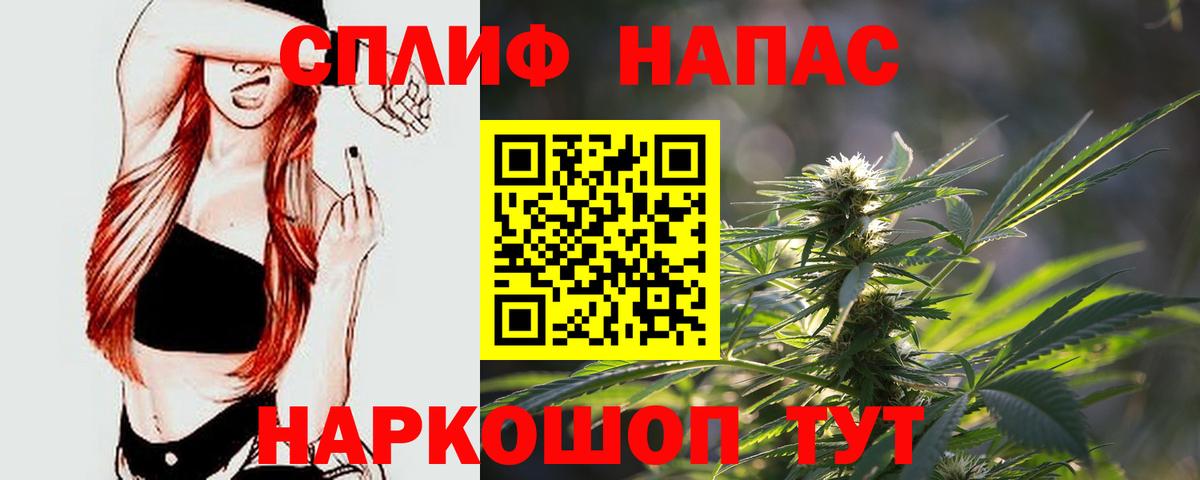 Бошки Шишки план  МАРИХУАНА конопля  Курчалой  Конопля VHQ  Каннабис планчик  Вход с VPN 